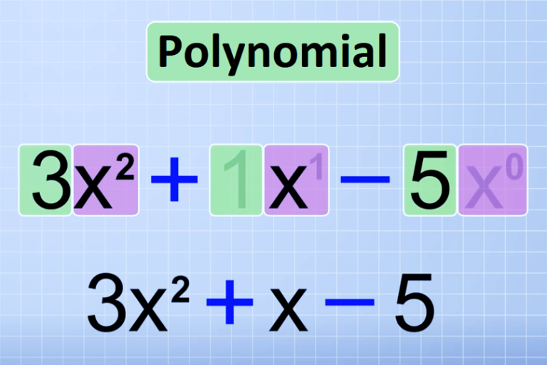 polynomial