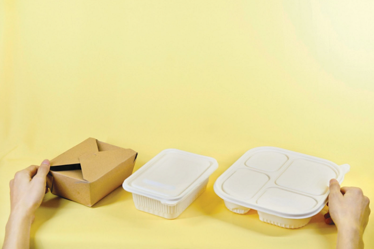 Sustainable Food Packaging – Types, Pros and Cons