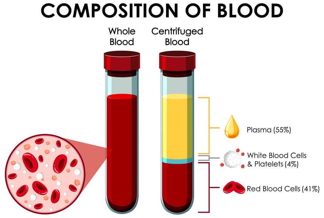 composition of blood