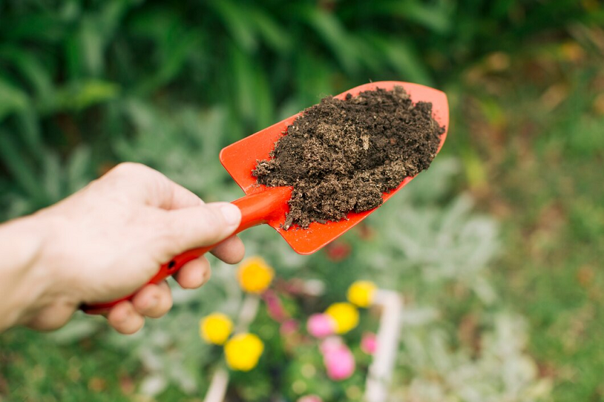 The Importance of Soil Health in Gardening: Tips for Improvement