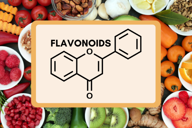 Flavonoids Explained: The Plant Compounds That Boost Your Health